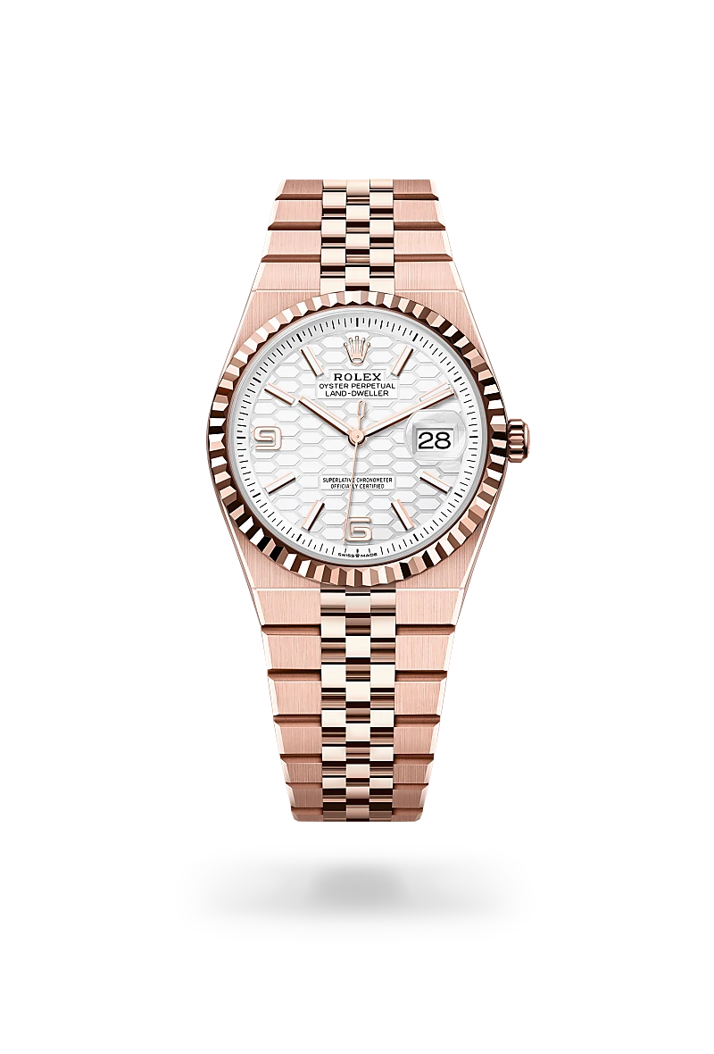 Rolex Land-Dweller in 18 kt Everose gold, M127235-0001 - Meierotto Jewelers