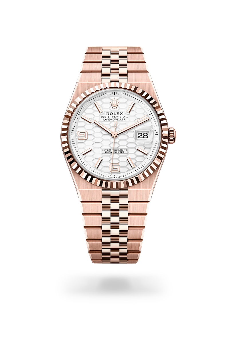 Rolex Land-Dweller in 18 kt Everose gold, M127335-0001 - Meierotto Jewelers
