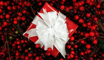 Christmas at Meierotto Jewelers