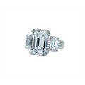 Rings Jewelry in Platinum/Palladium 235595