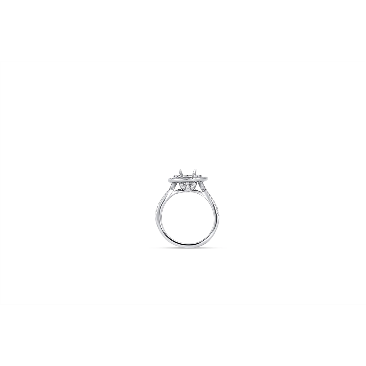 Engagement Collections Engagement Rings in White Gold containing Diamond 348054