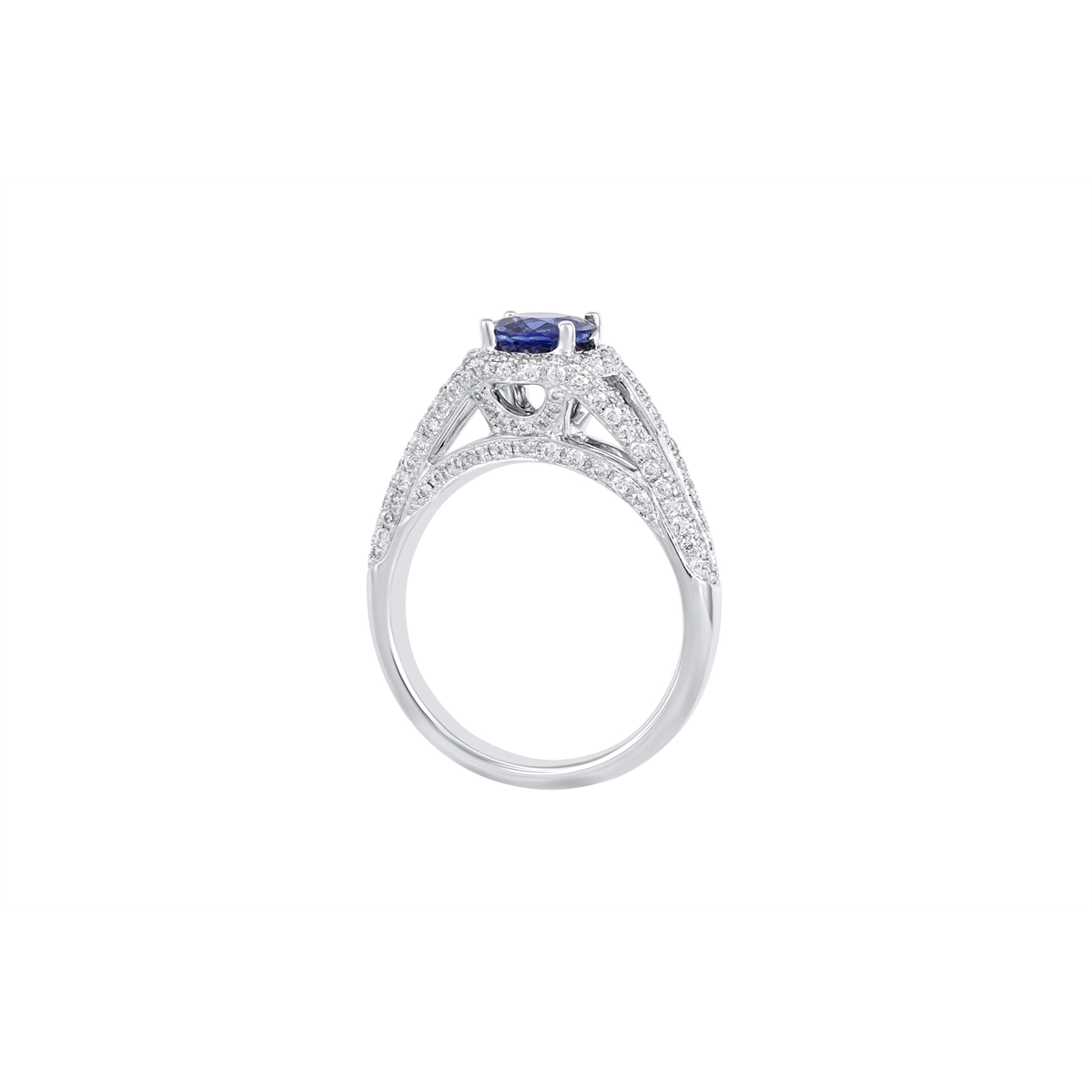 Rings Rings in White Gold containing Multi-gemstone, Diamond, Sapphire BAR3818