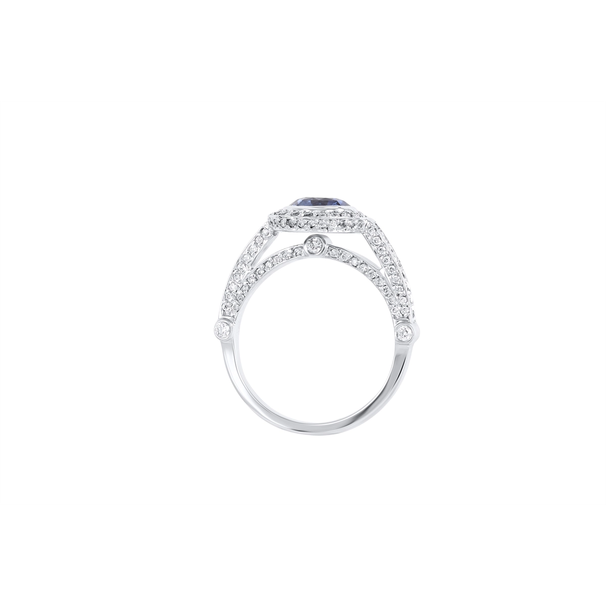Rings Rings in White Gold containing Multi-gemstone, Diamond, Sapphire DR-120