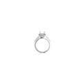 Engagement Collections Engagement in White Gold 348260