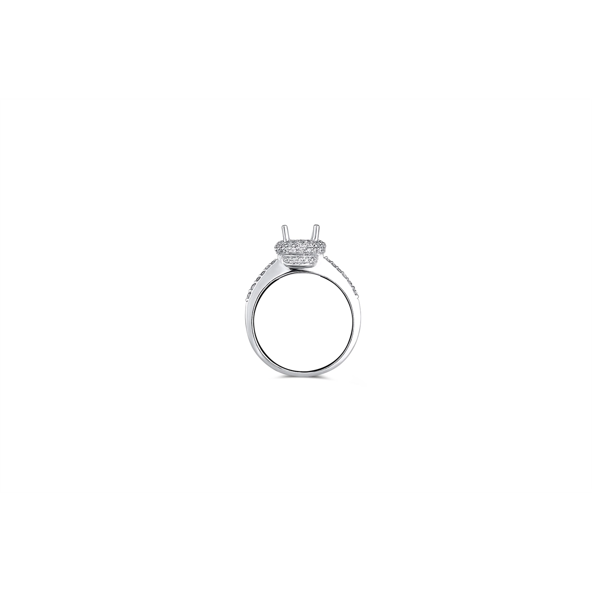 Engagement Collections Engagement in White Gold 348260