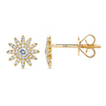 Earrings Earrings in Yellow Gold containing Diamond 369592