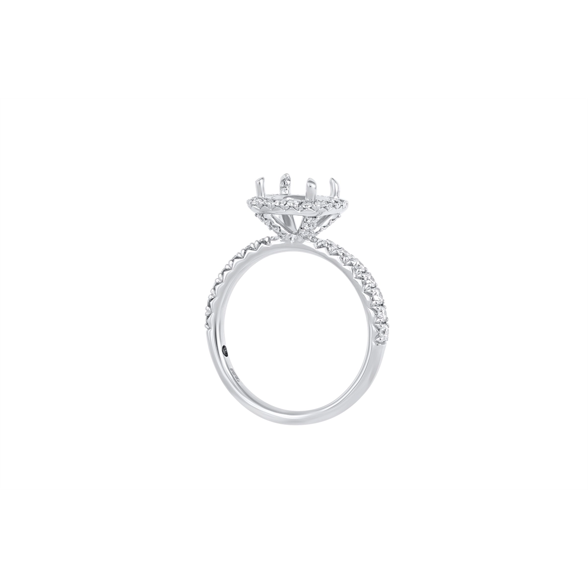Fana Engagement Rings in White Gold containing Diamond S2817-WG
