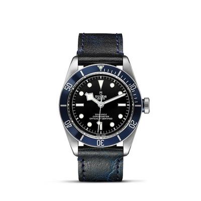 csv_image Tudor watch in Alternative Metals M79230B-0007