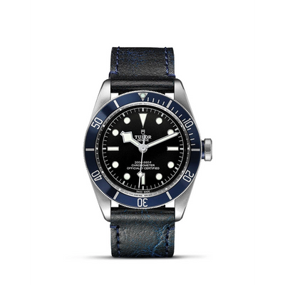 Tudor watch in Alternative Metals M79230B-0007