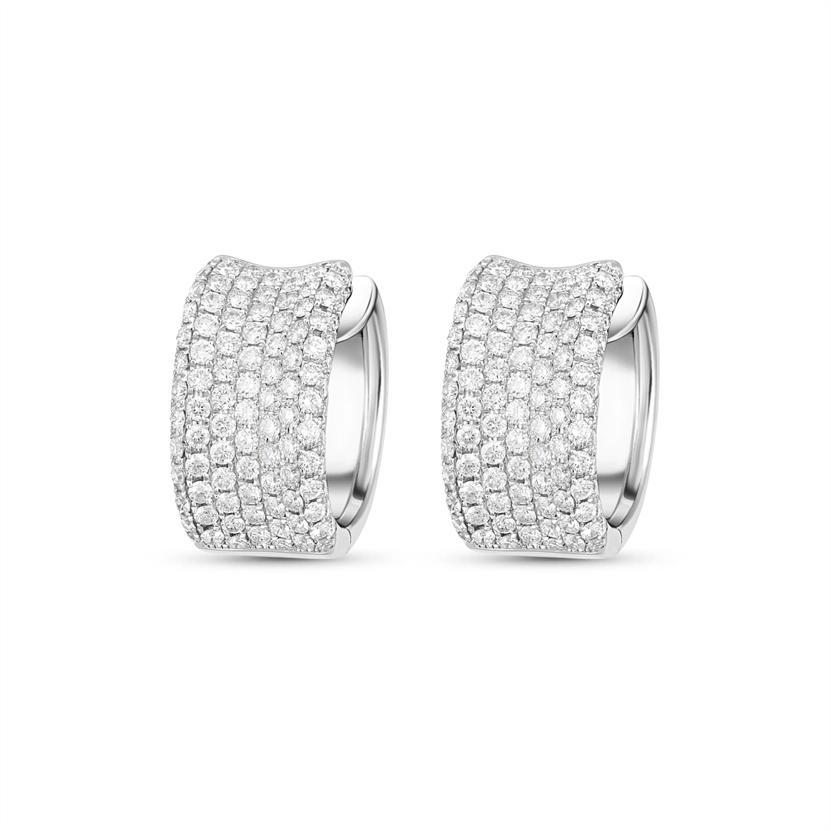 Earrings Earrings in White Gold containing Diamond E02701-T55860