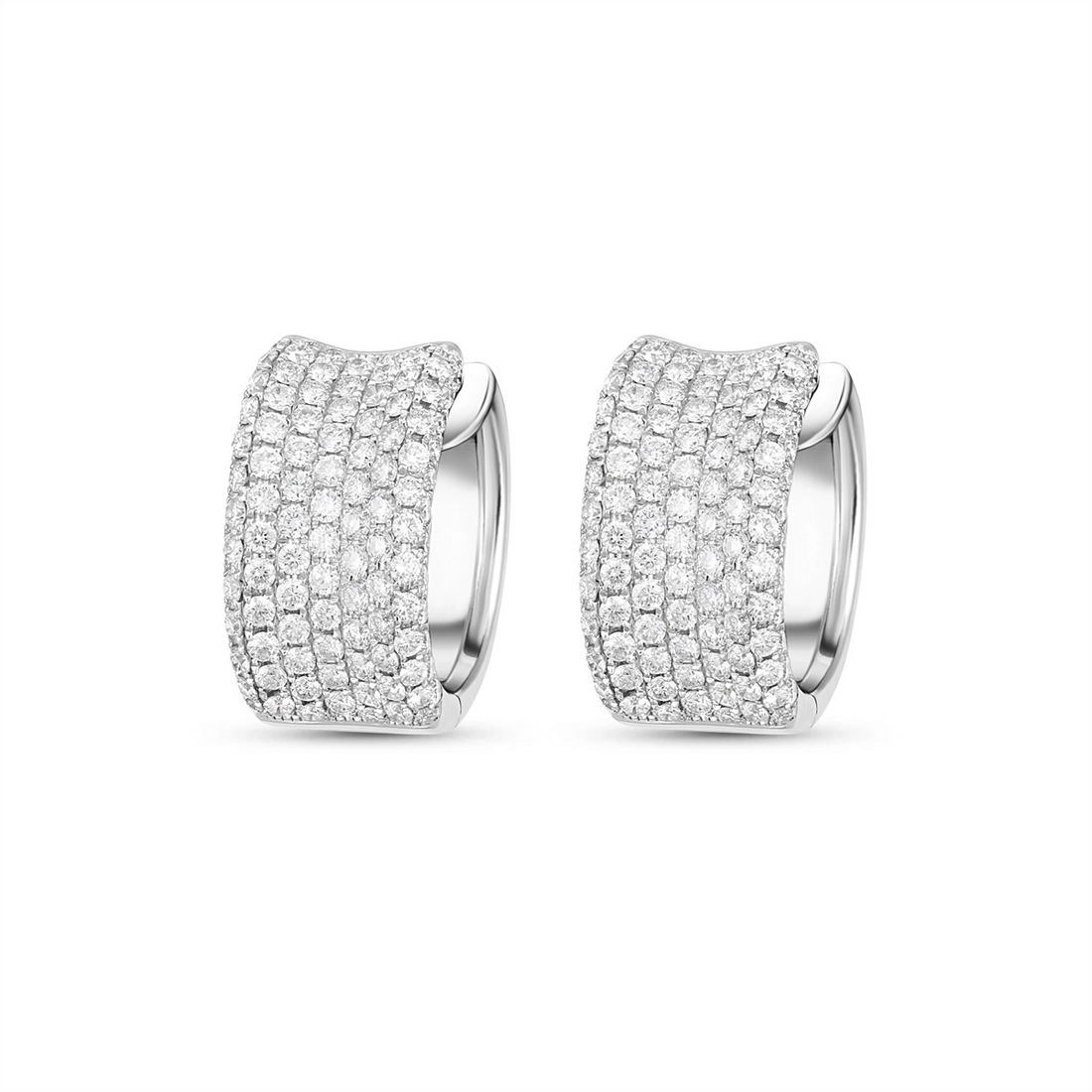 Earrings Earrings in White Gold containing Diamond E02701-T55860