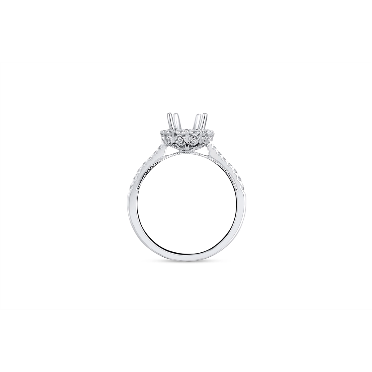 Engagement Collections Engagement Rings in White Gold containing Diamond 377713