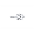 Engagement Collections Engagement Rings in White Gold containing Diamond SM541-110339