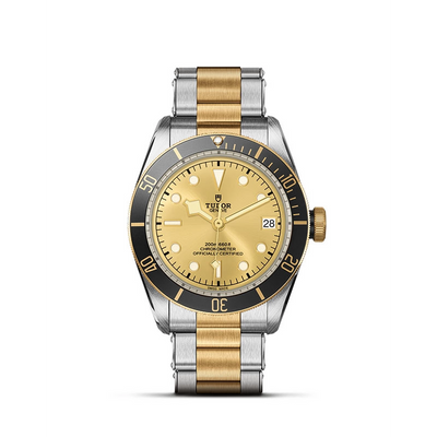 csv_image Tudor watch in Mixed Metals M79733N-0004