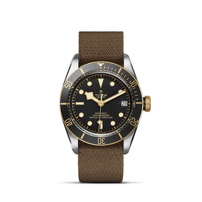 csv_image Tudor watch in Mixed Metals M79733N-0005