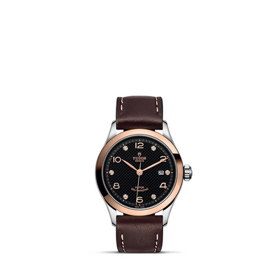 csv_image Tudor watch in Mixed Metals M91351-0008