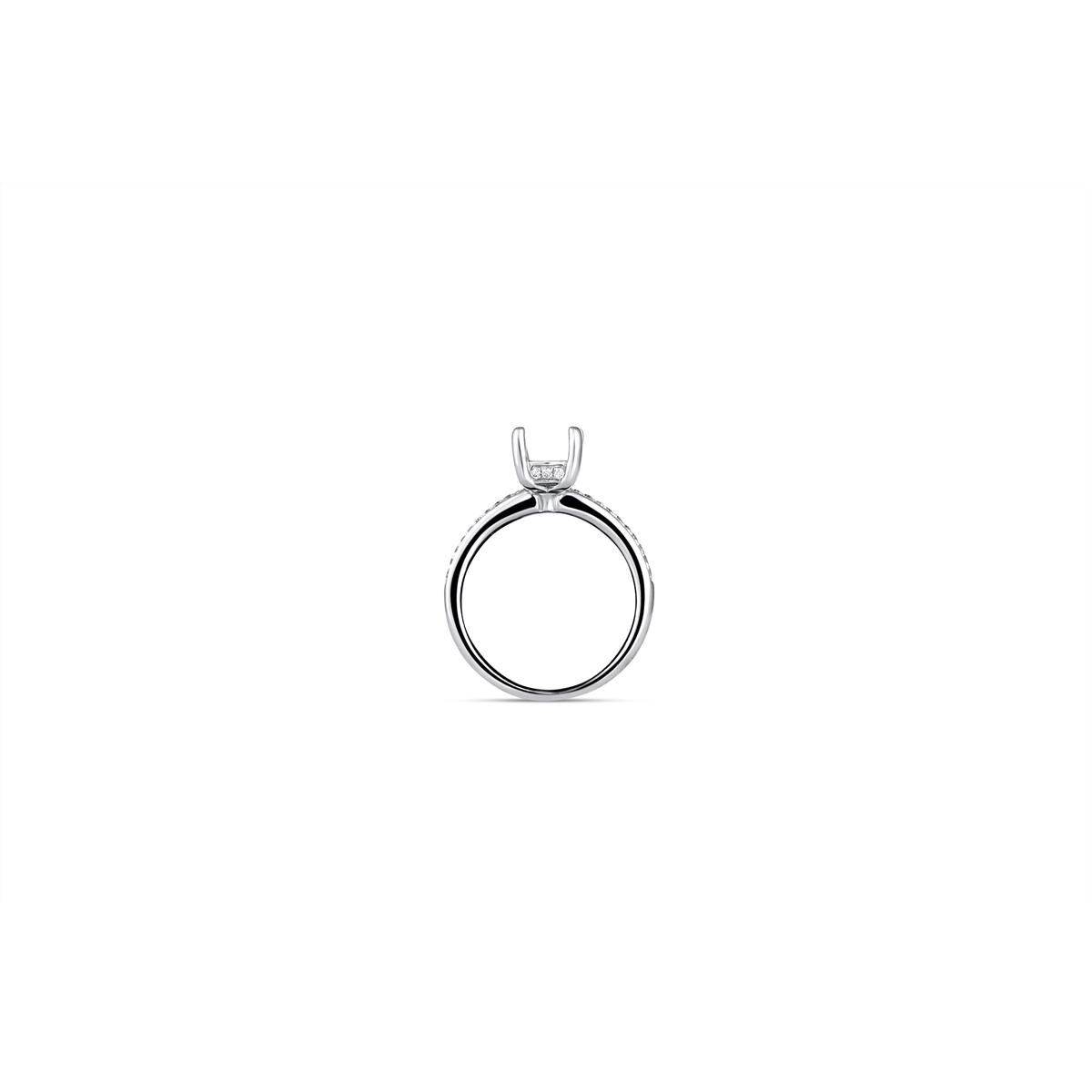 Engagement Collections Engagement in White Gold 409640