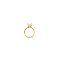 Engagement Collections Engagement Rings in Yellow Gold containing Diamond 409921
