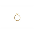 Engagement Collections Engagement Rings in Yellow Gold containing Diamond 409923