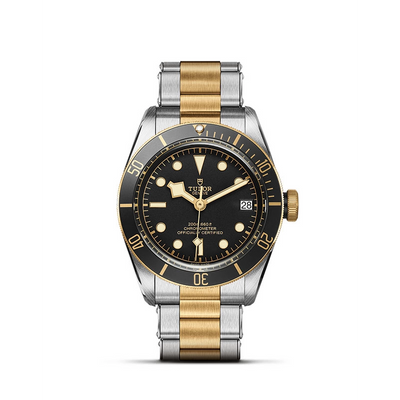 csv_image Tudor watch in Mixed Metals M79733N-0008