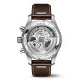 IWC Schaffhausen watch in Alternative Metals IW388103
