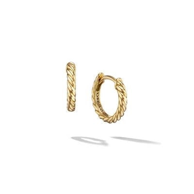David Yurman Earrings in Yellow Gold E1751588
