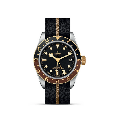 Tudor watch in Mixed Metals M79833MN-0004