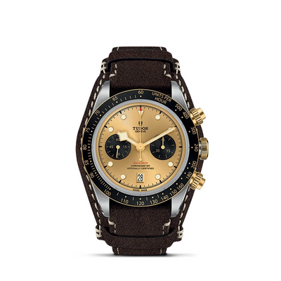 csv_image Tudor watch in Mixed Metals M79363N-0008