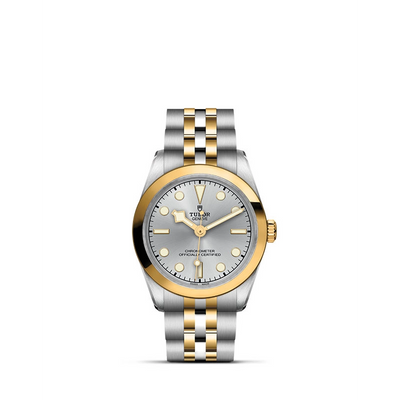 csv_image Tudor watch in Mixed Metals M79603-0002