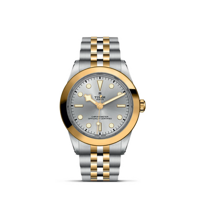 Tudor watch in Mixed Metals M79663-0002