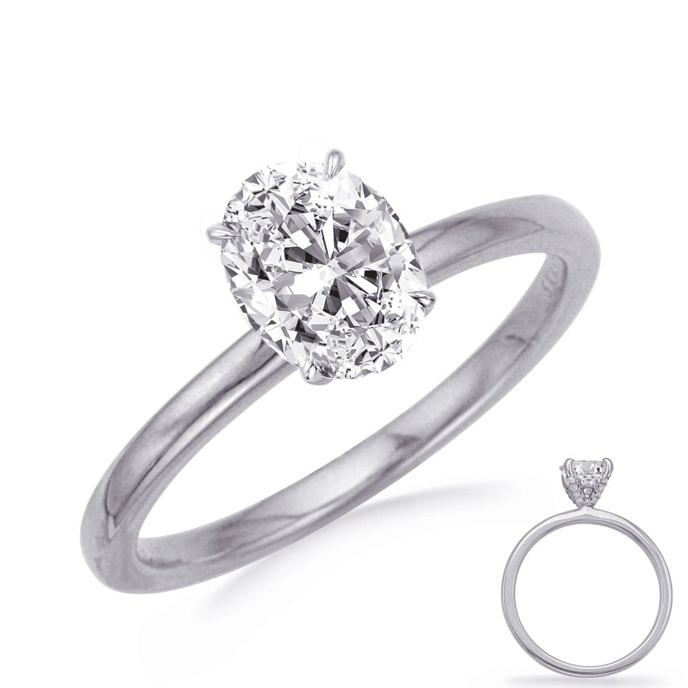 Engagement Collections Engagement Rings in White Gold containing Diamond 419100