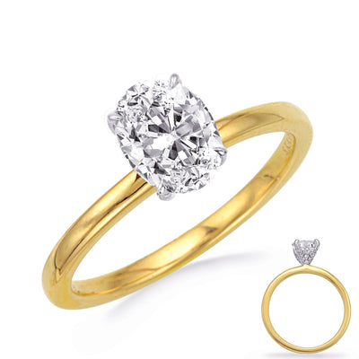 Engagement Collections Engagement Rings in Mixed Metals containing Diamond 419101