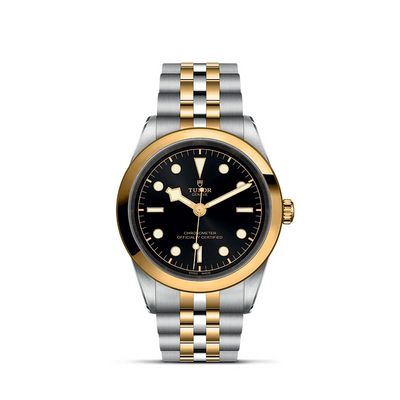 csv_image Tudor watch in Mixed Metals M79683-0001