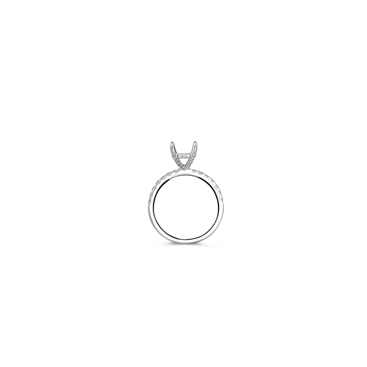 Engagement Collections Engagement Rings in White Gold containing Diamond 428960