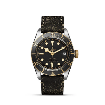 Tudor watch in Mixed Metals M79733N-0007