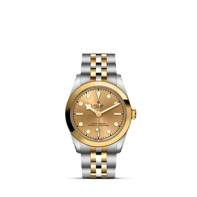 csv_image Tudor watch in Mixed Metals M79603-0005
