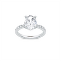 Engagement Collections Engagement Rings in White Gold containing Diamond 440872
