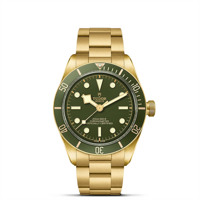 csv_image Tudor watch in Yellow Gold M79018V-0006