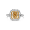 Engagement Collections Engagement in Mixed Metals 442114