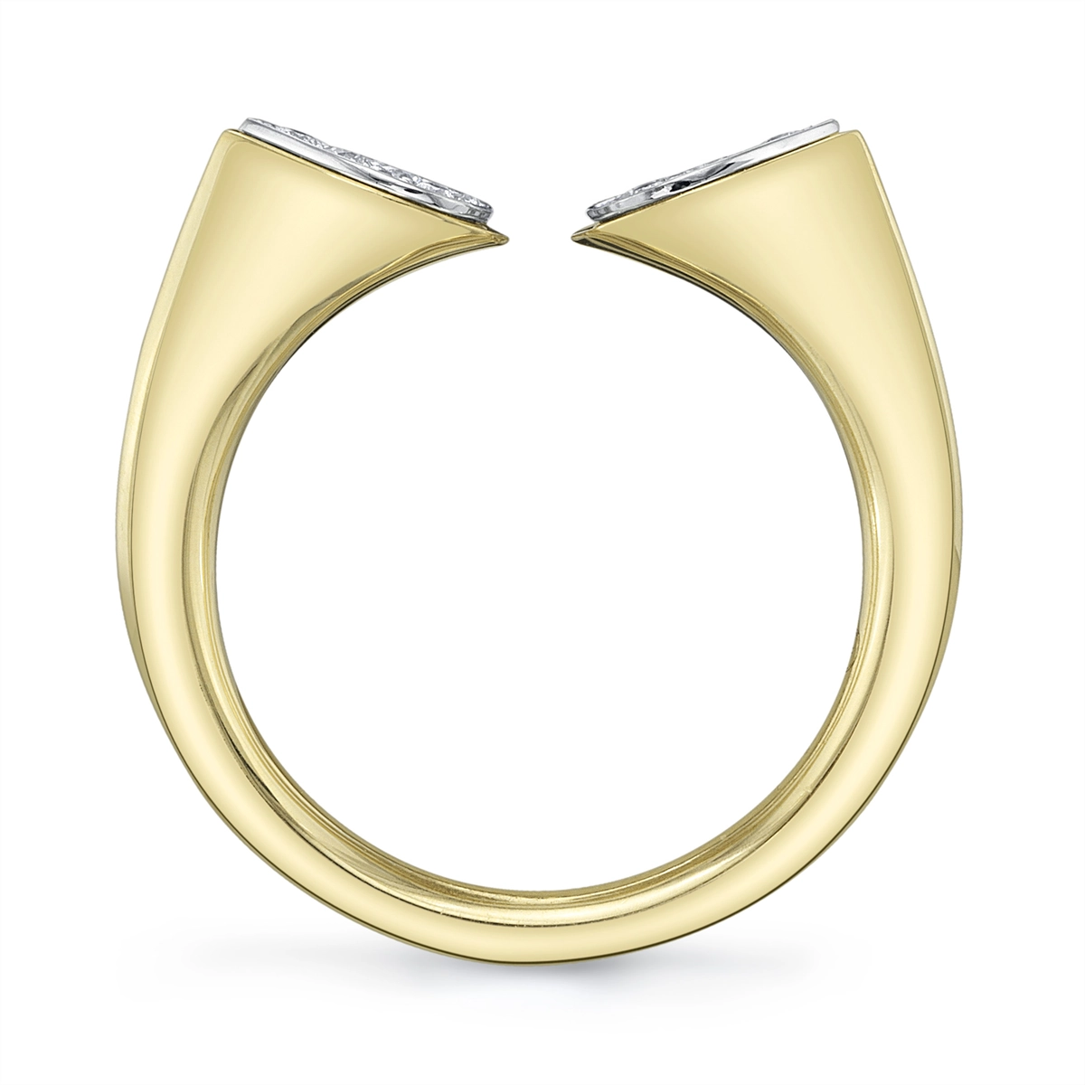 Rings Rings in Mixed Metals containing Diamond 445763