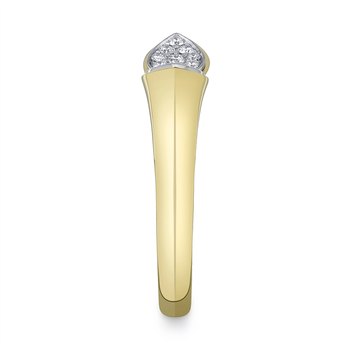 Rings Rings in Mixed Metals containing Diamond 445763