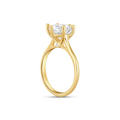 Fana Engagement Rings in Yellow Gold containing Diamond S4178/YG-2.5CT-RD