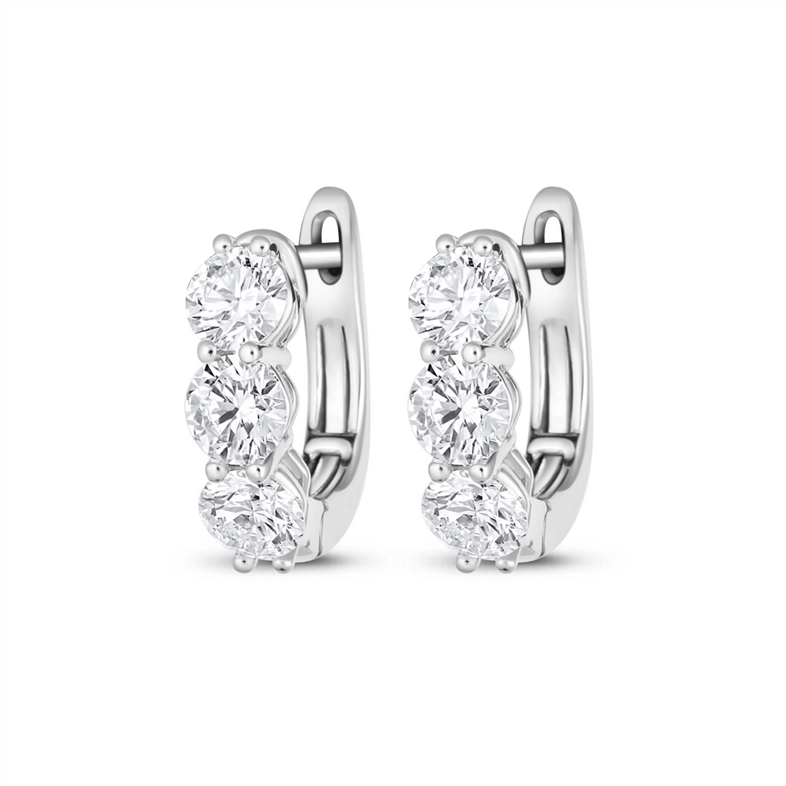 Earrings Earrings in White Gold containing Diamond 450053