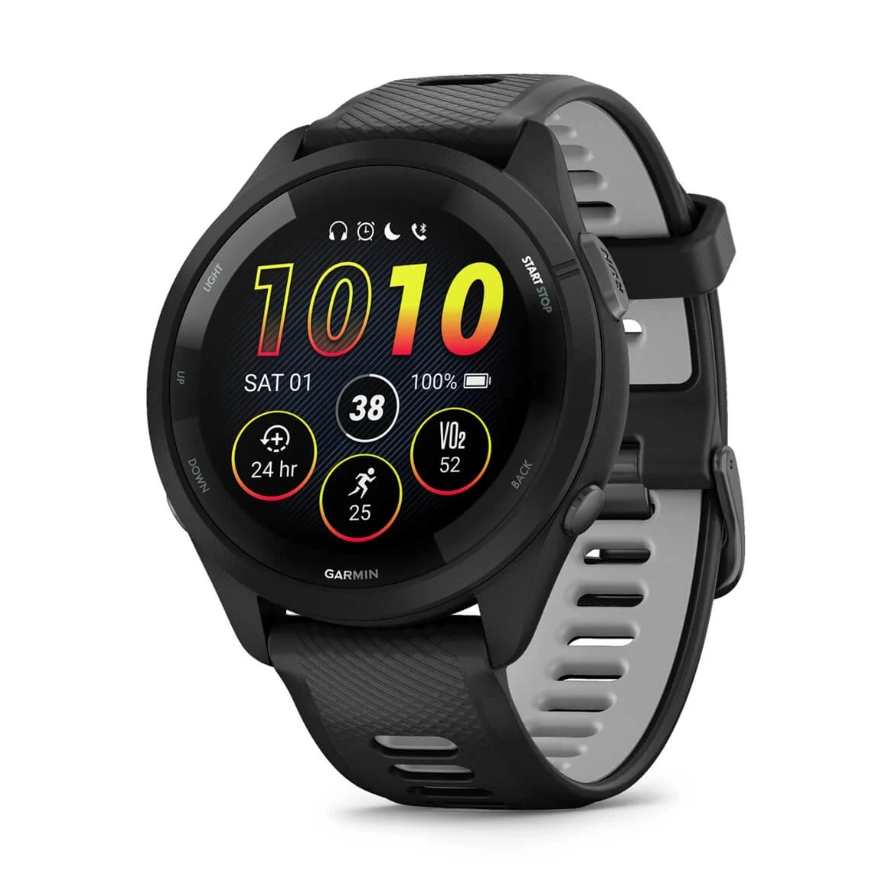 Garmin watch 010-02810-00