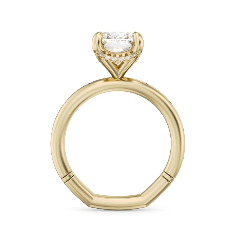 Noam Carver  Engagement Rings in Yellow Gold containing Diamond A135-07YM-FCYA