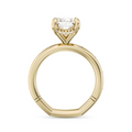 Noam Carver  Engagement Rings in Yellow Gold containing Diamond A135-07YM-FCYA