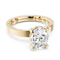 Noam Carver  Engagement Rings in Yellow Gold LU022-02YM25-A