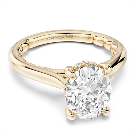 Noam Carver  Engagement Rings in Yellow Gold containing Diamond LU041-02YM2-A