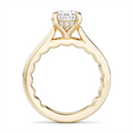 Noam Carver  Engagement Rings in Yellow Gold containing Diamond LU041-02YM2-A