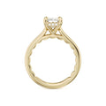 Noam Carver  Engagement Rings in Yellow Gold containing Diamond 451383